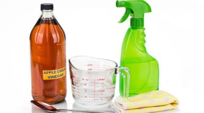 Apple cider vinegar for fleas in house Apple cider vinegar for fleas in house