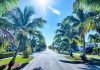 How to Plan a Trip to Florida: A Simple Travel Guide plan a trip to florida