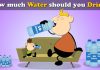 How Much Water Should I Drink A Day How Much Water Should I Drink A Day