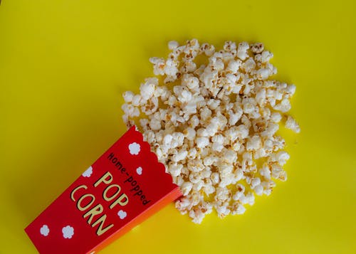 Can You Grow Corn From Popcorn Kernels Corn From Popcorn Kernels