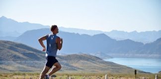 7 Fascinating Health Facts and Uses of Tarragon Uses of Tarragon