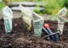 Investing Tips: What to Know Before Investing in Bitcoin bitcoin