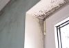 What to do when you find mold after water damage