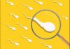Have You Tried These Simple Steps to Make Your Fertility Better in Your 30s?
