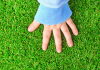 How to Maintain Artificial Turf on Bocce Ball Courts