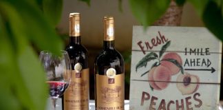6 Fun Things to do in Fredericksburg, Texas