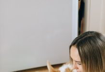 Can Dogs Eat Corn- Let’s Dig the Facts & Know the Answers can dogs eat corn