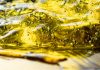 Unlocking the Benefits of Organic Cod Liver Oil: The Ultimate Guide organic cod liver oil
