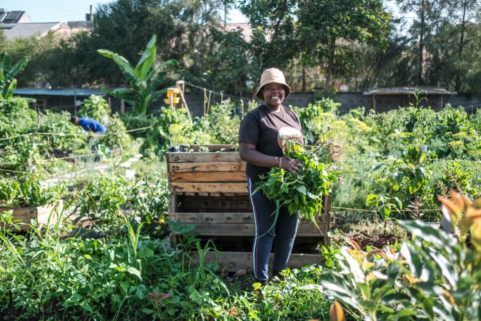 Agricultural transformation in Africa: Kenya