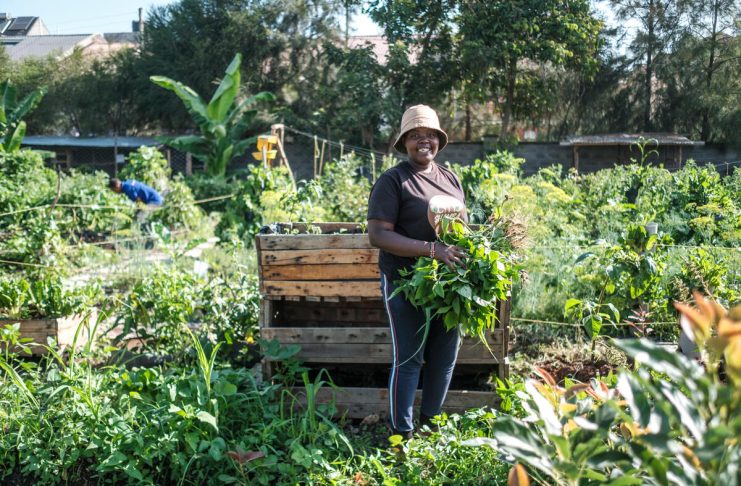 5 Deep Root Feeding Benefits That Enhance Plant Health
